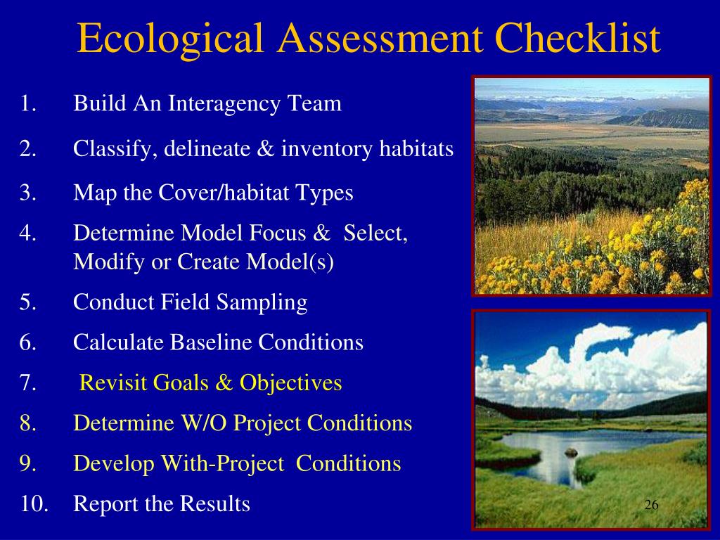 ppt-ecological-assessment-within-the-planning-process-powerpoint