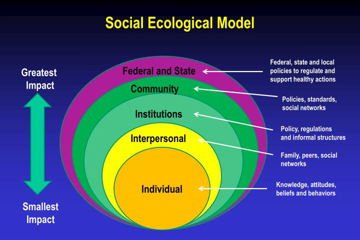 social theory and obesity Identify social cognitive theory constructs that have been used in successful childhood overweight and obesity prevention programs and interventions in the schools apply social cognitive theory constructs to new childhood overweight and obesity interventions in the schools. social theory and obesity Identify social cognitive theory constructs that have been used in successful childhood overweight and obesity prevention programs and interventions in the schools apply social cognitive theory constructs to new childhood overweight and obesity interventions in the schools.