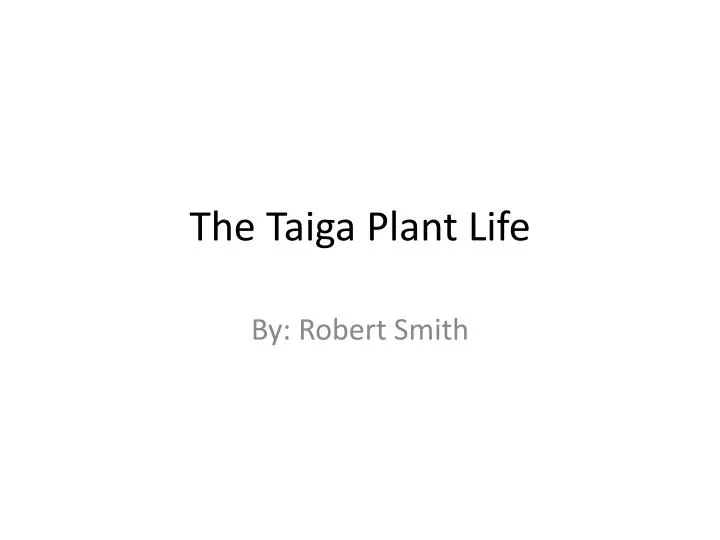 PPT The Taiga Plant Life PowerPoint Presentation, free download ID