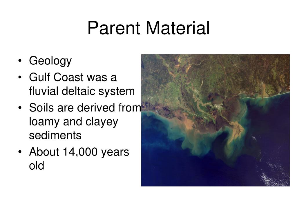 what is parent material definition