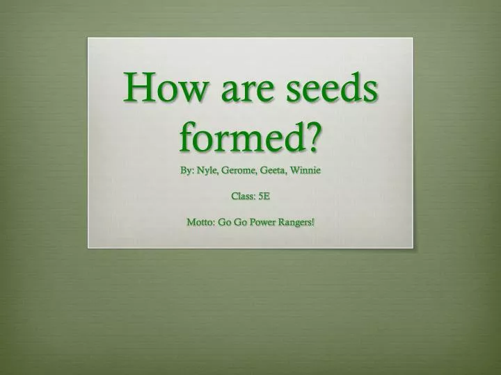 how are seeds formed n.
