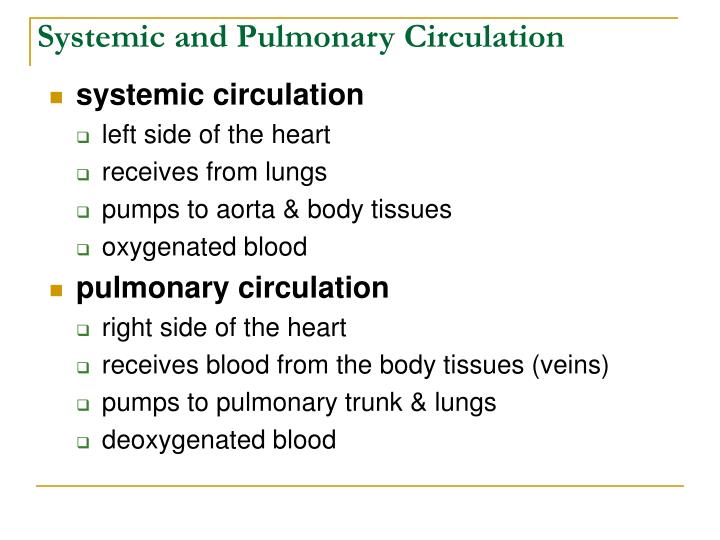 PPT - Cardiovascular System: The Heart Chapter 19 – Lecture Notes ...