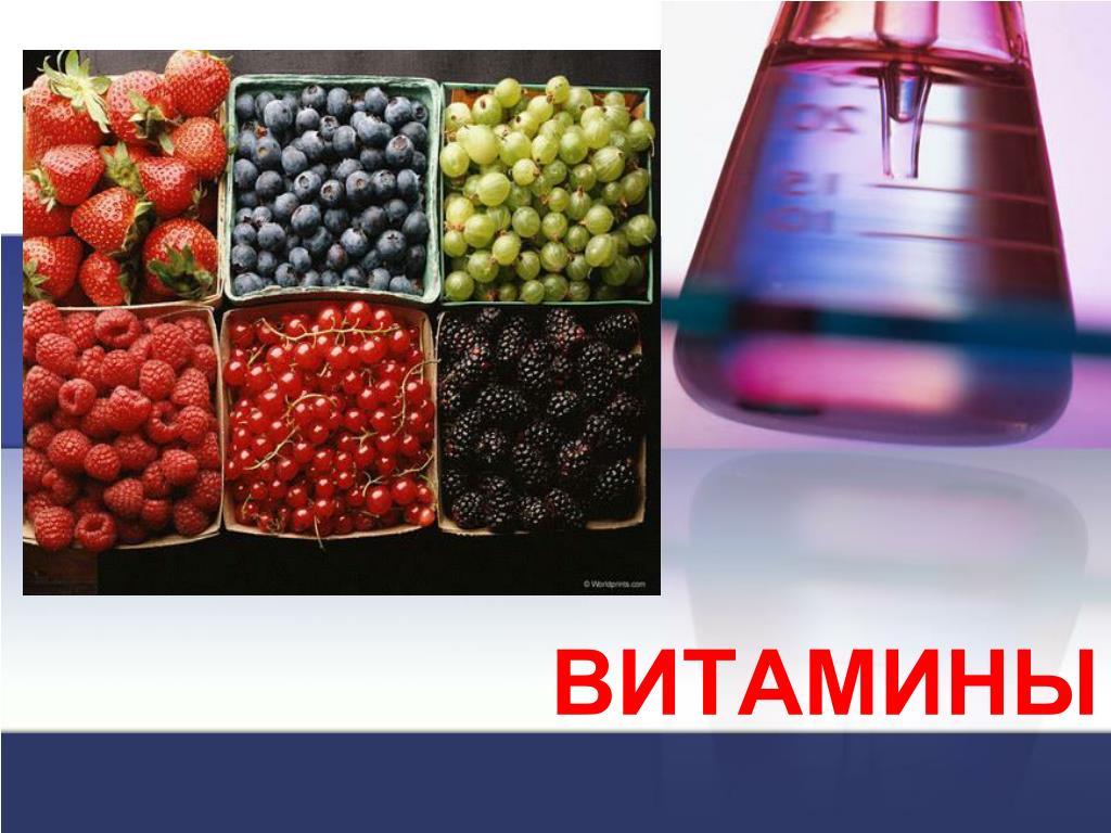 Проект 10 класс витамины