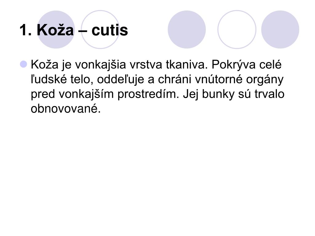 PPT - KOŽA PowerPoint Presentation, free download - ID:4481195