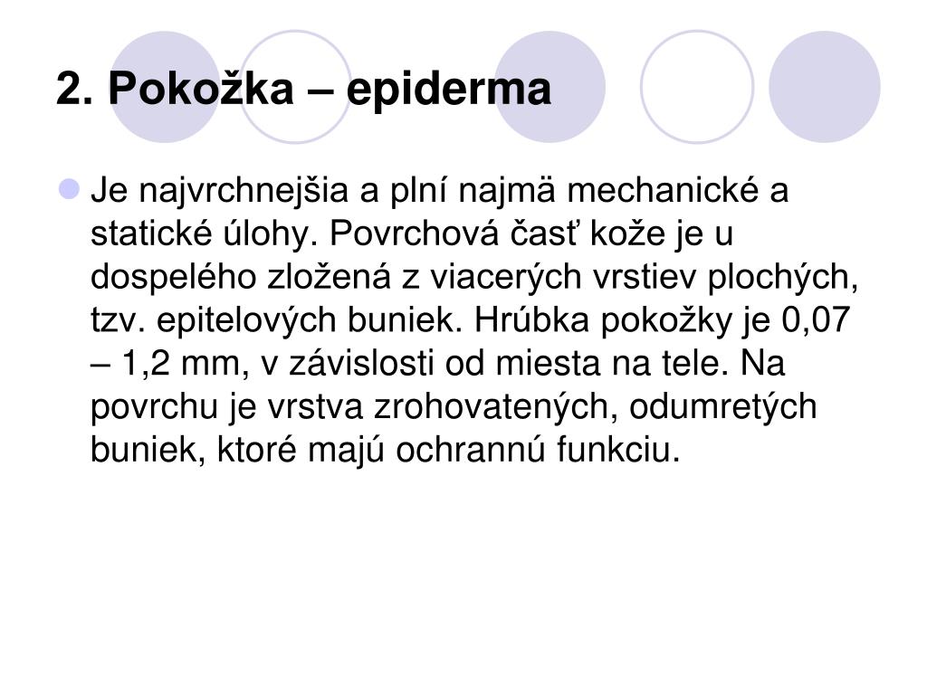 PPT - KOŽA PowerPoint Presentation, free download - ID:4481195