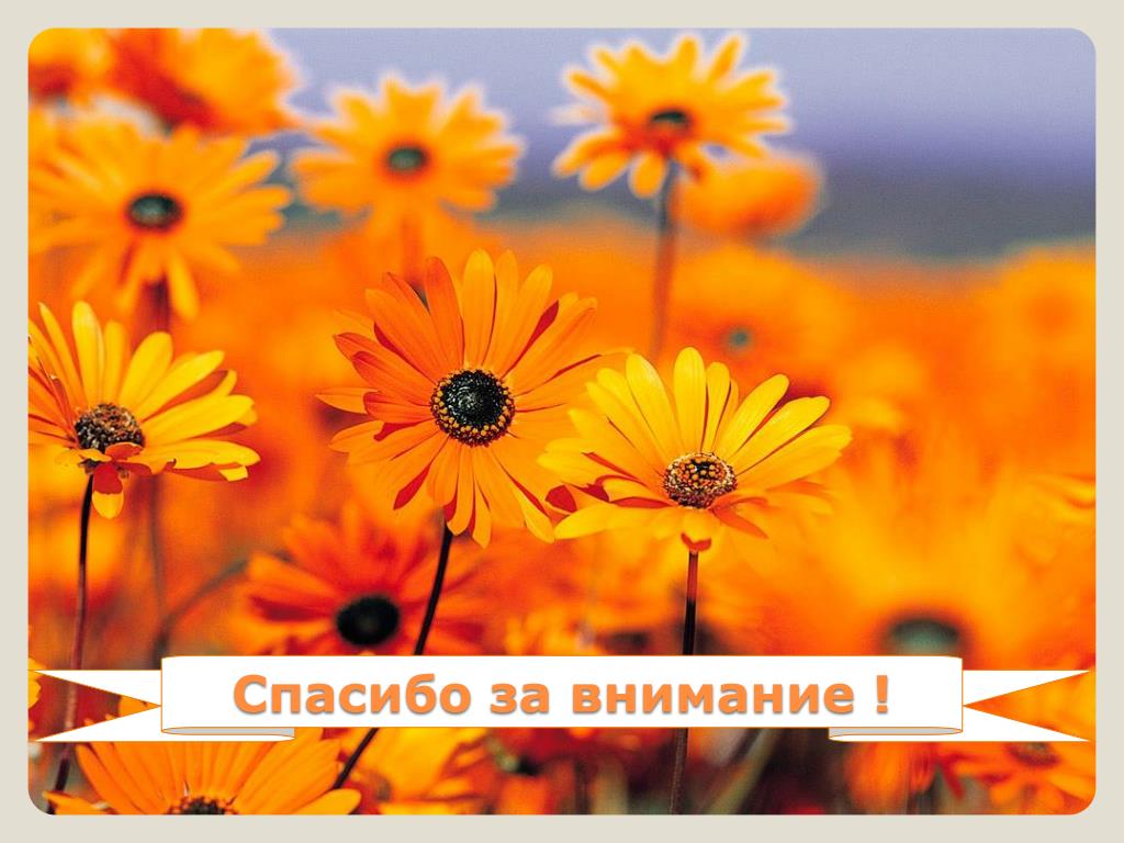 PPT - Общие Реакции Организма На Повреждение PowerPoint.
