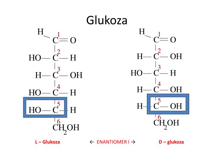 Jaki Jest Wzór Chemiczny Glukozy PPT - Ugljeni hidrati PowerPoint Presentation - ID:4482692
