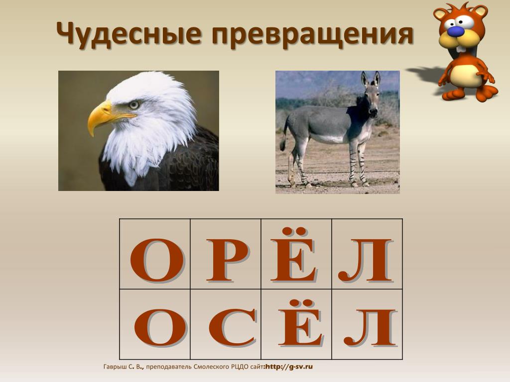 Чудесное превращение. Чудесные превращения. Чудесное превращение КЕЦВОТ. Чудесное превращение города рога. Чудесные превращения математика.