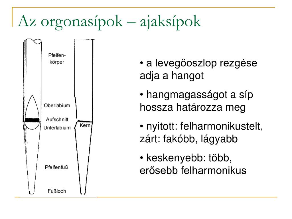 PPT - Fizika – hang – zene – orgona PowerPoint Presentation, free download  - ID:4483447