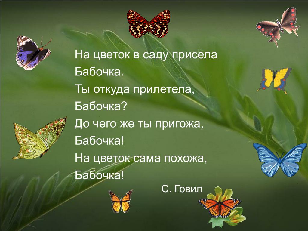Бабочка составить слова. Бабочка прилетела. Бабочки прилетят сами. Бабочка подлетает к цветку. Стих о бабочке с цветка на цветок.