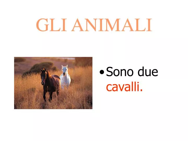 Ppt Gli Animali Powerpoint Presentation Free Download Id