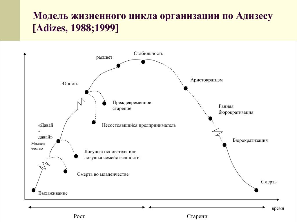 Определите особенности жизненного цикла. Кривая жизненного цикла организации по Адизесу. Модель жизненного цикла по Адизесу. Кривой жизненного цикла организации по и. Адизесу. Стадии жизненного цикла компании по Адизесу.