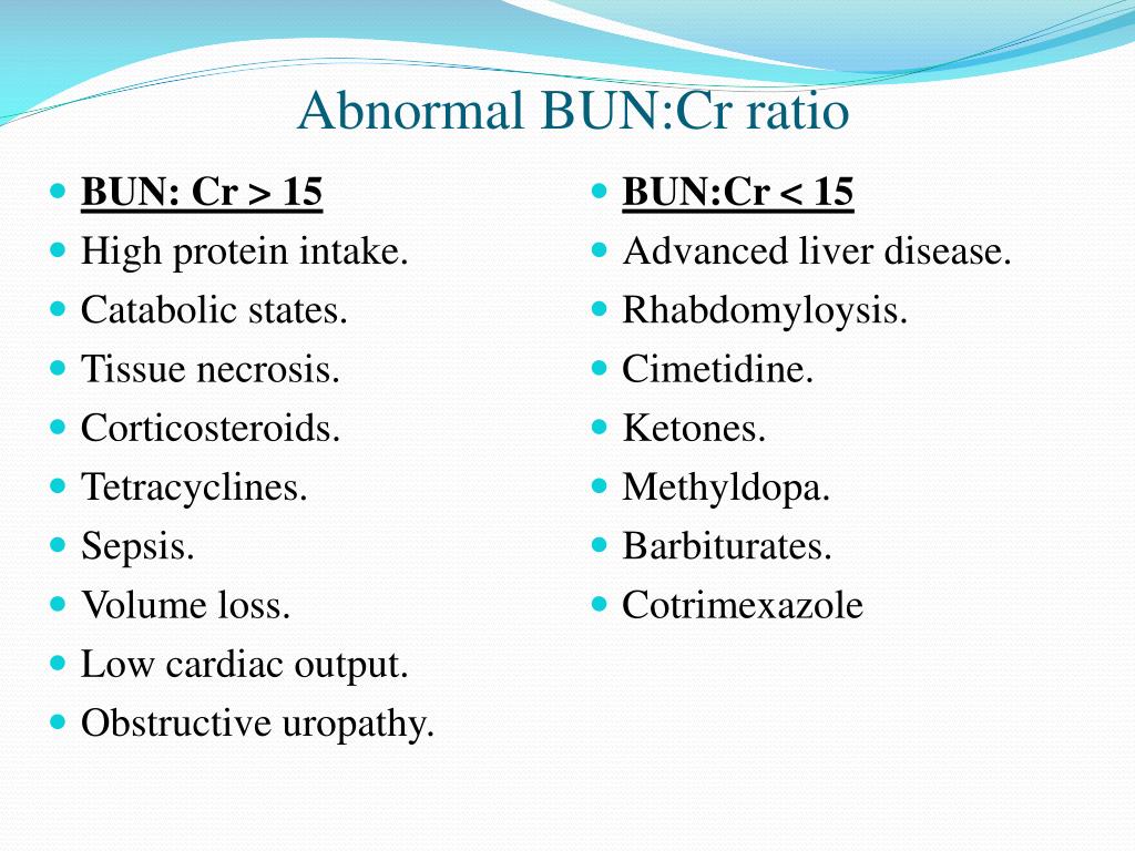 PPT - A cute K idney I njury PowerPoint Presentation, free download ...