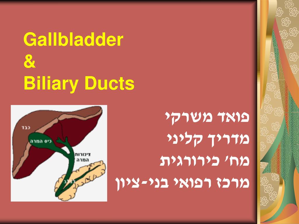 PPT - Gallbladder & Biliary Ducts PowerPoint Presentation, free download -  ID:4488043