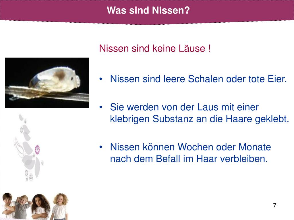 PPT - Kopfläuse PowerPoint Presentation, free download ...