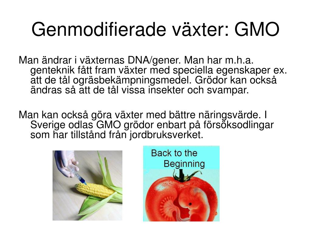 PPT - Genetik och Genteknik PowerPoint Presentation, free download ...