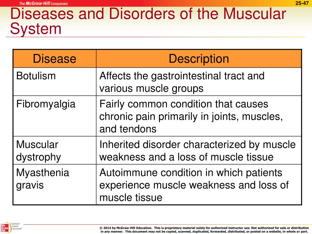 muscular system diseases