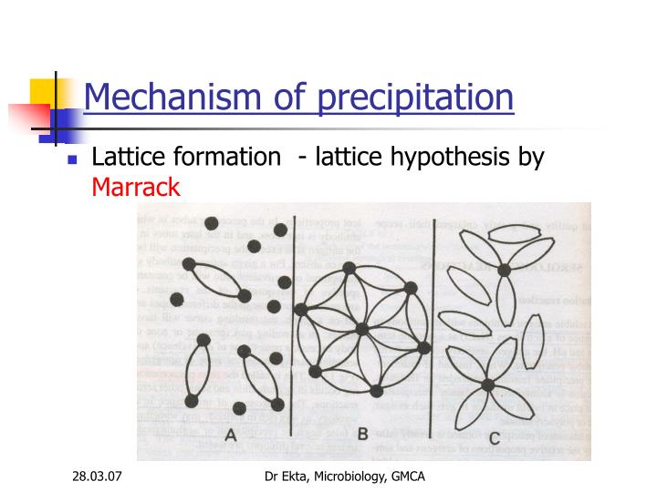 meaning of lattice hypothesis