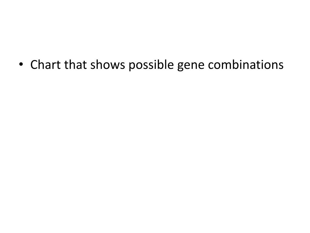 Chart That Shows Possible Gene Combinations