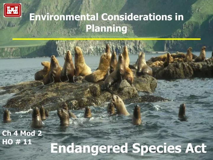 PPT - Environmental Considerations in Planning PowerPoint Presentation ...