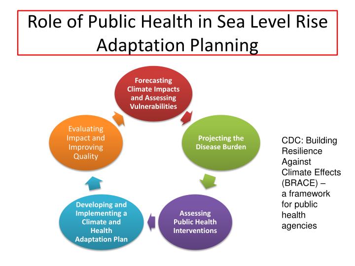 impact of sea level rise and adaption strategy Many studies focus on assessing the impacts of sea level rise, but few have proposed potential strategic responses that are applicable for adaptation therefore. impact of sea level rise and adaption strategy Many studies focus on assessing the impacts of sea level rise, but few have proposed potential strategic responses that are applicable for adaptation therefore.