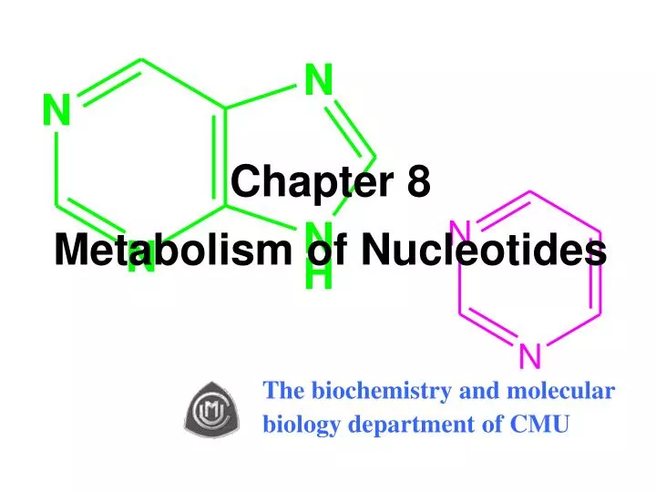 chapter 8 metabolism of nucleotides n.
