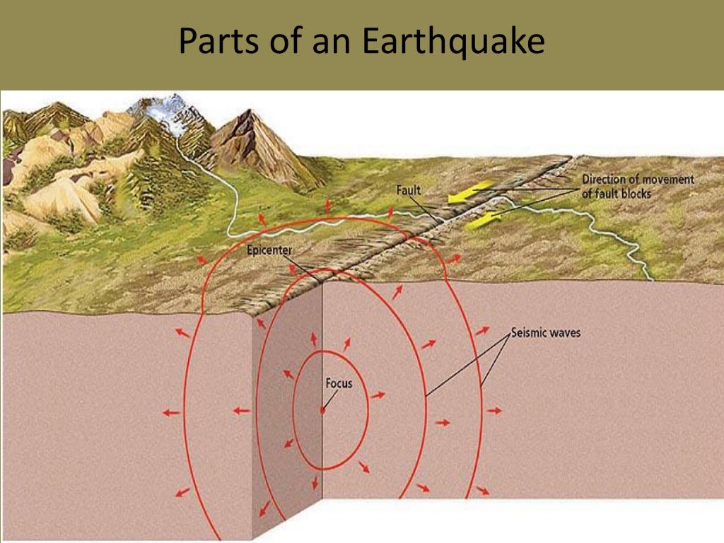 PPT - Earthquakes PowerPoint Presentation free download 