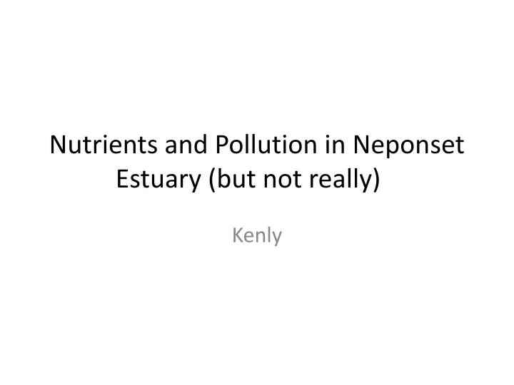 nutrients and pollution in neponset estuary but not really n.