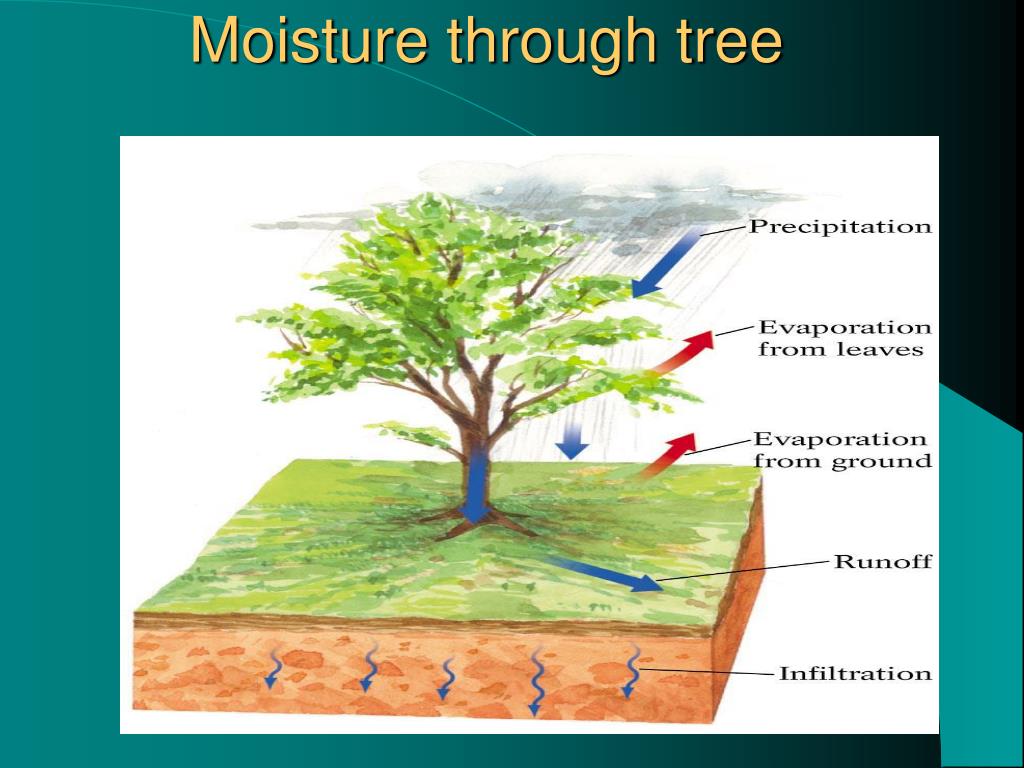 
The Lower Atmosphere And Hydrosphere Are Bound To Earth By
