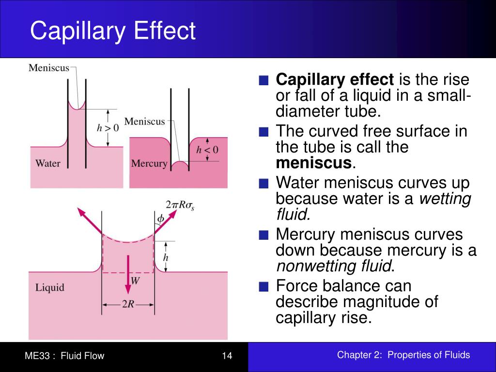 PPT Chapter 2 Properties of Fluids PowerPoint Presentation, free