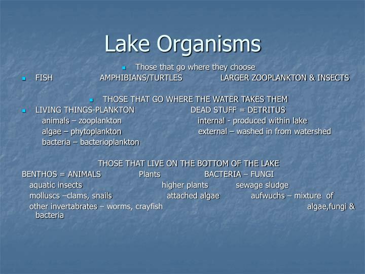 PPT - The Watershed PowerPoint Presentation - ID:4498969