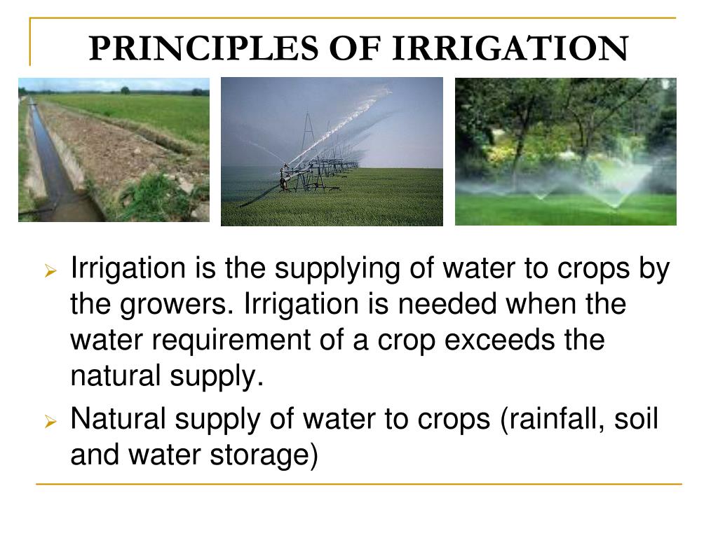 PPT - PRINCIPLES OF IRRIGATION PowerPoint Presentation, free download - ID:44992881024 x 768