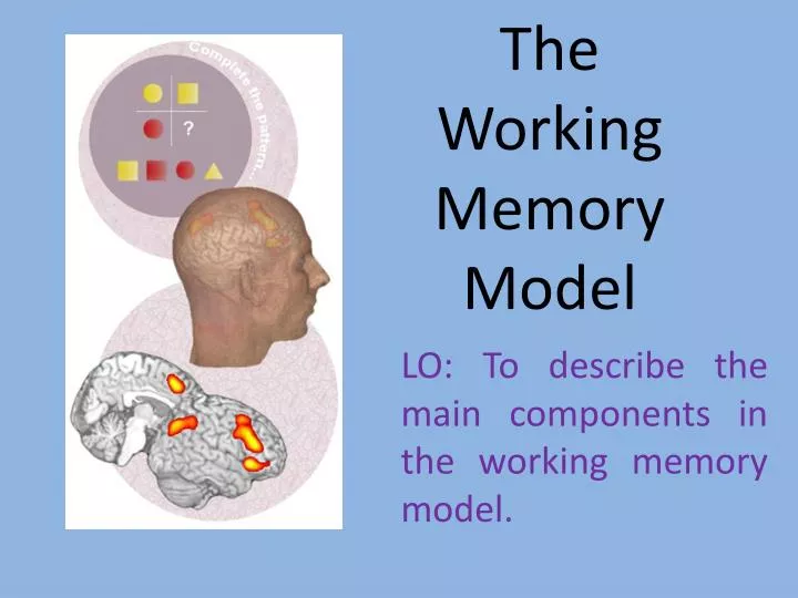 presentation time working memory