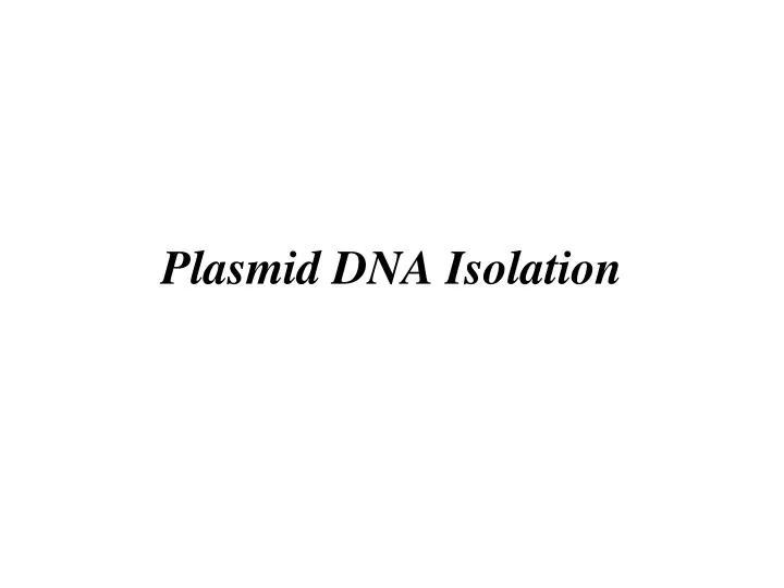 plasmid dna isolation n.
