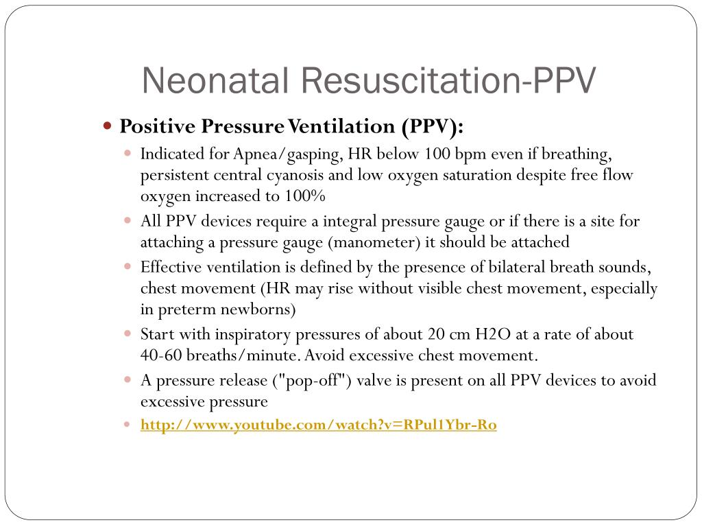 PPT - Neonatal Resuscitation Provider PowerPoint Presentation, free  download - ID:4502831