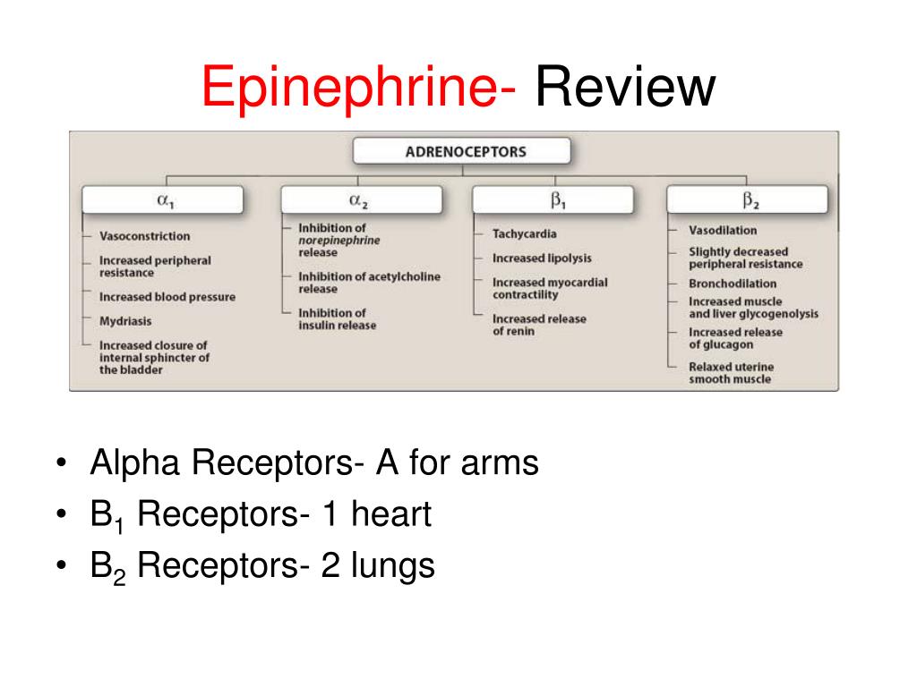 Terbinafine tablets online