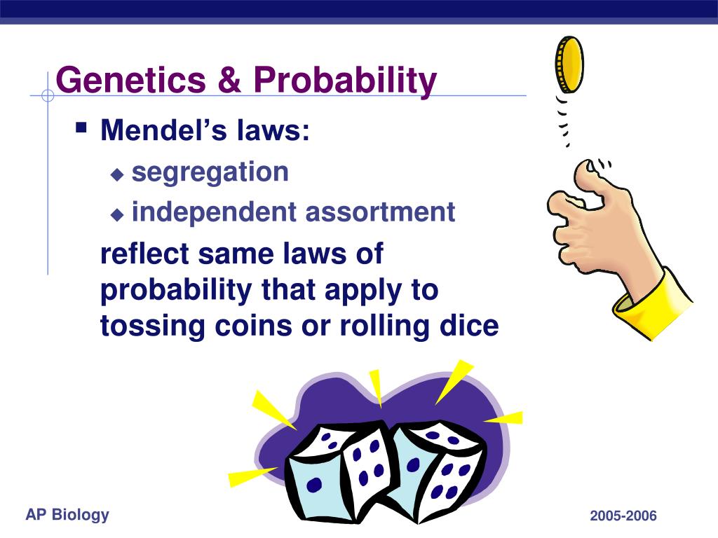 Dice and the Laws of Probability