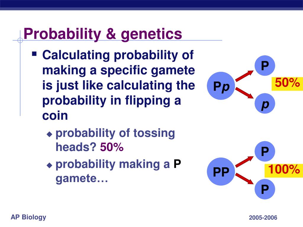 ppt-chapter-14-probability-genetics-powerpoint-presentation-free-download-id-4503798