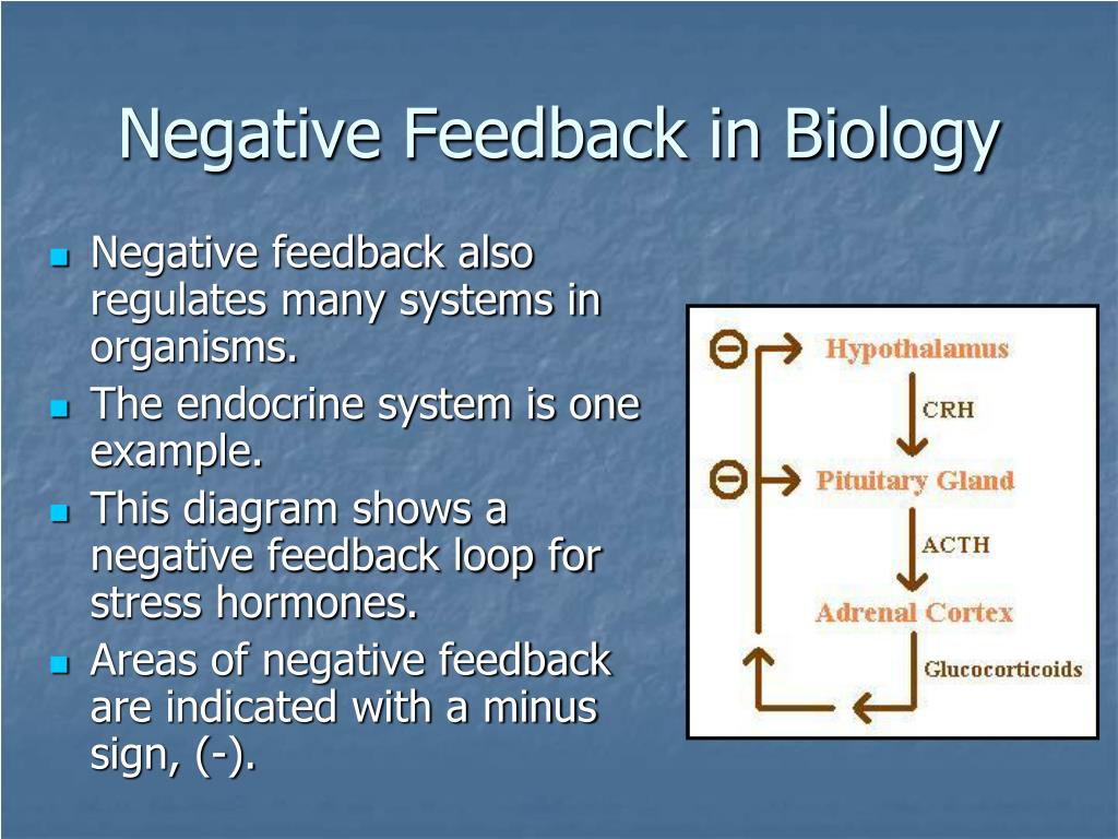 negative feedback examples of mechanism for students