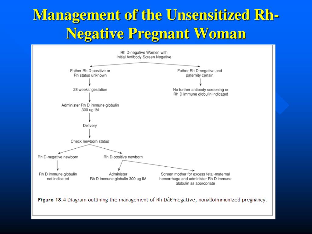 Ppt Alloimmunization In Pregnancy Powerpoint Presentation Free Download Id Ppt Alloimmunization In Pregnancy Powerpoint Presentation Free Download Id