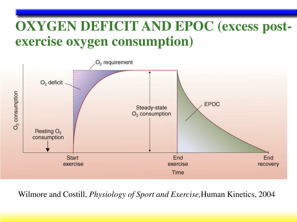 PPT Exercise Metabolism Wrap Up PowerPoint Presentation Free 