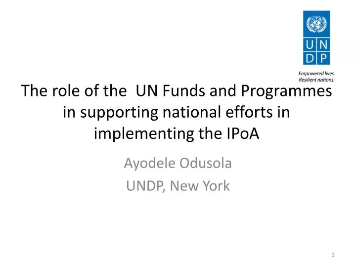 the role of the un funds and programmes in supporting national efforts in implementing the ipoa n.