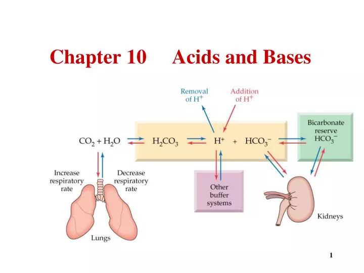 chapter 10 acids and bases n.