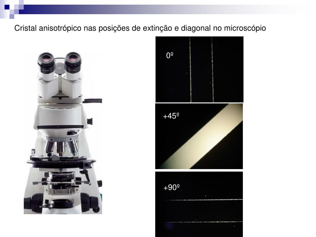 PPT - Microscopia de polarização PowerPoint Presentation, free download -  ID:4509931