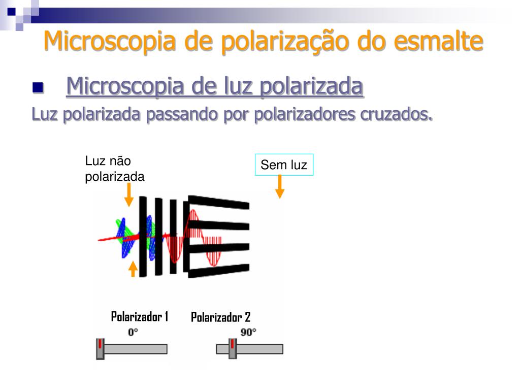 PPT - Microscopia de polarização PowerPoint Presentation, free download -  ID:4509931