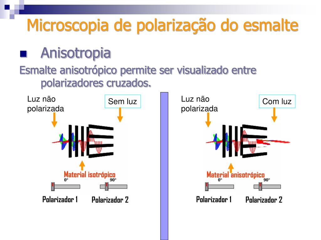 PPT - Microscopia de polarização PowerPoint Presentation, free download -  ID:4509931