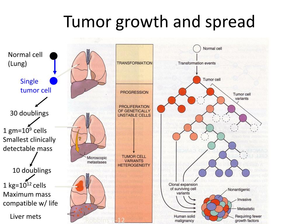 PPT Pathology of Solid Tumors PowerPoint Presentation, free download