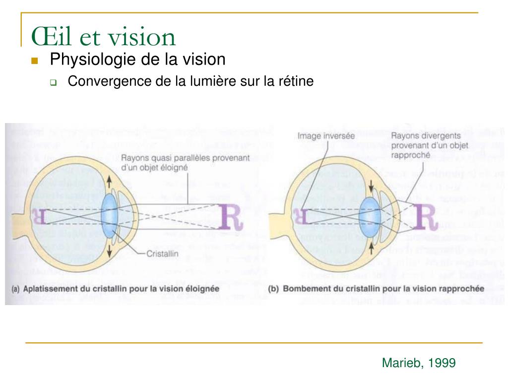 PPT GTS812 Cours 12 PowerPoint Presentation Free Download ID 4511235