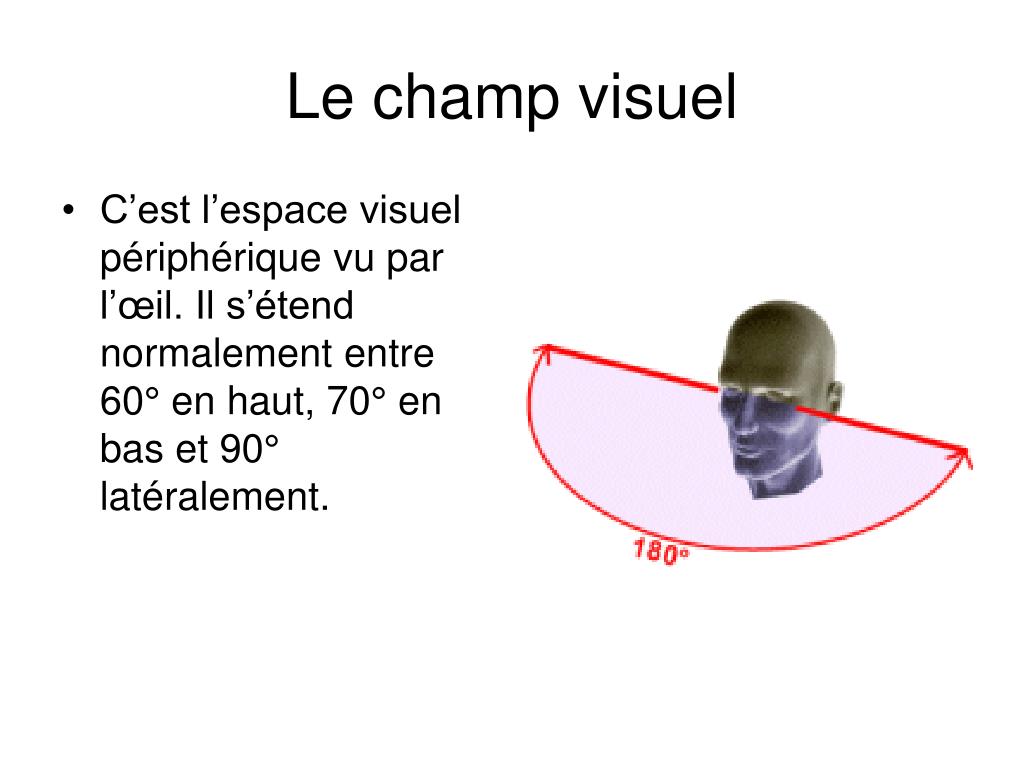 PPT Le champ visuel PowerPoint Presentation, free download ID4511826
