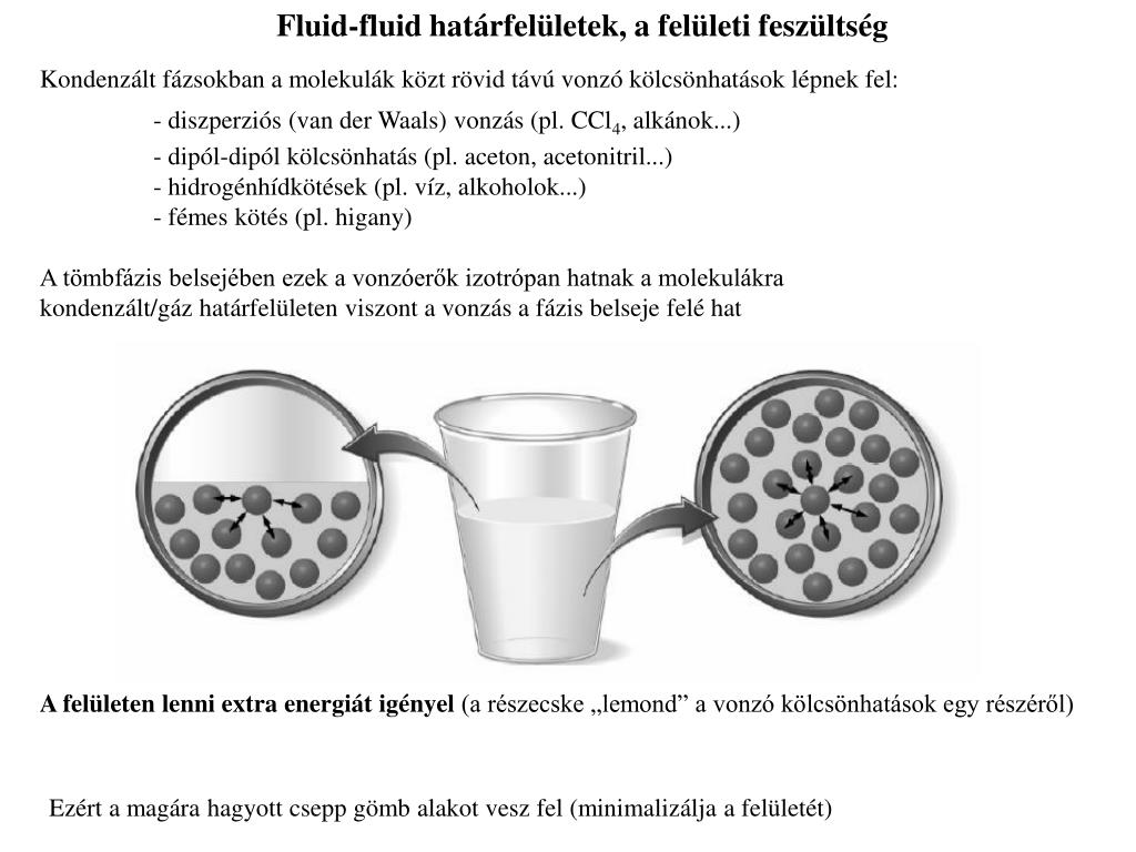 PPT - Fluid-fluid hat árfelületek, a felületi feszültség PowerPoint  Presentation - ID:4513125